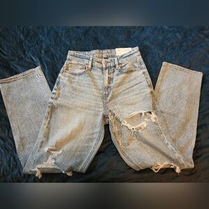 NWT American Eagle Curvy Sz 2 Distressed Light Blue 90s Straight Leg Jeans